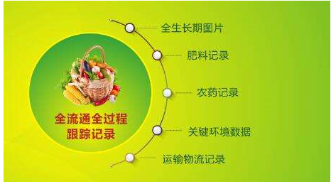 2020-07-01_094608.jpg 2020-07-01_094608.jpg